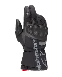 WT-4 GORE-TEX Insulated Glove