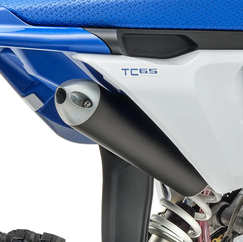 Exhaust system