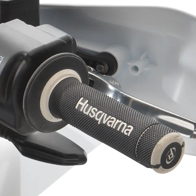 Ride-by-wire throttle
