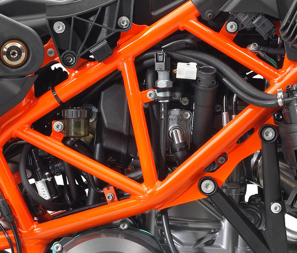Frame and swingarm